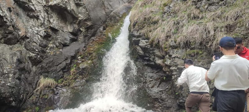 Almaty: Falconry show and Big Almaty Gorge - An Overview of the Experience