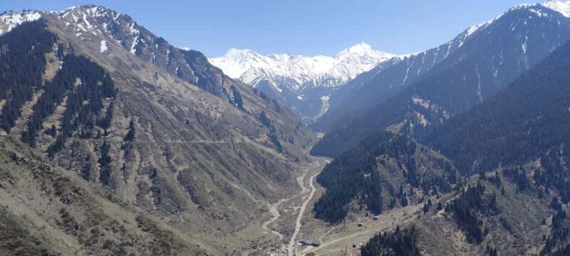 Almaty: Hiking the Japanese Road and Wild Hunting Birds Show - Wildlife and Bird of Prey Show