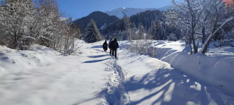 Almaty: Hiking to the High Mountain Pasture Kok Zhailau - Practical Tips for Your Hike