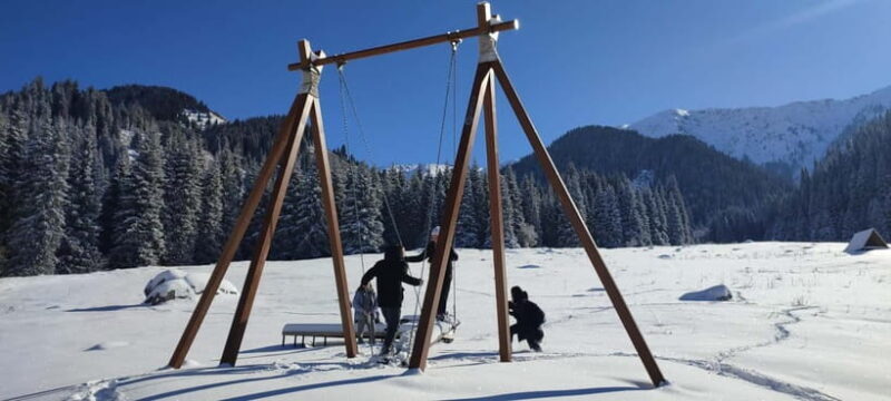 Almaty: Hiking to the High Mountain Pasture Kok Zhailau - Pricing and Value