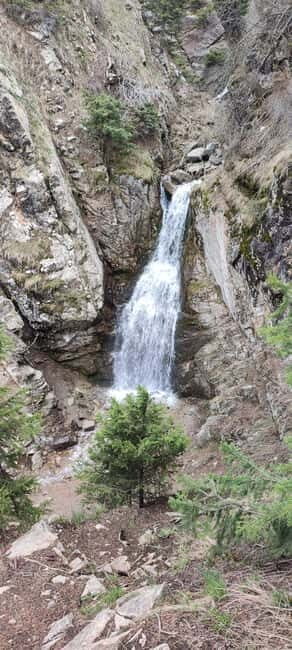 Almaty: Hiking to the High Mountain Pasture Kok Zhailau - Who Is This Tour Best For?