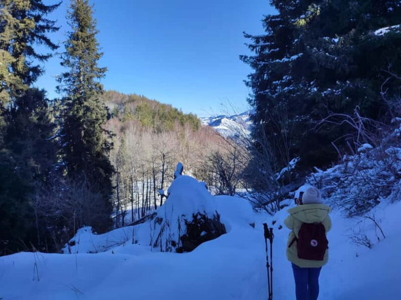 Almaty: Hiking to the High Mountain Pasture Kok Zhailau - Final Thoughts