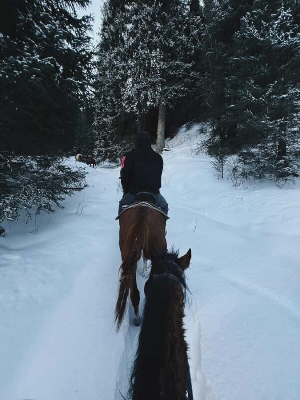 Almaty: Horseback Riding Experience Along Nomads Trails - Final Thoughts