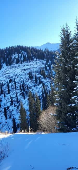 Almaty: Kim Asar Mountains and Waterfall Hiking Tour - What Does the Tour Entail?