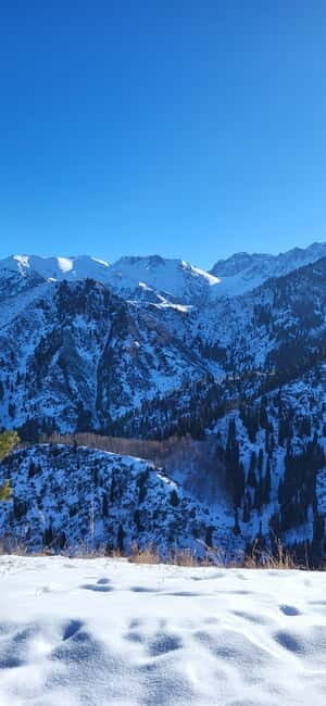 Almaty: Kim Asar Mountains and Waterfall Hiking Tour - The Sum Up