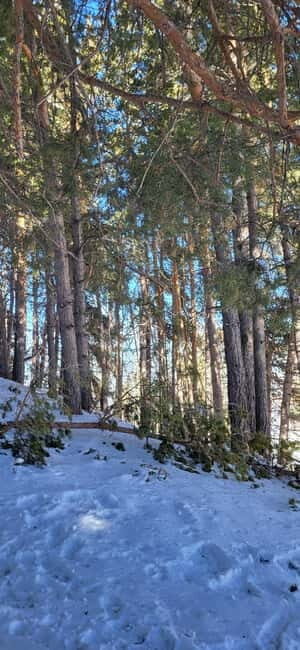 Almaty: Kok Zhailau Mountain and Batareika Waterfall Hike - Key Points