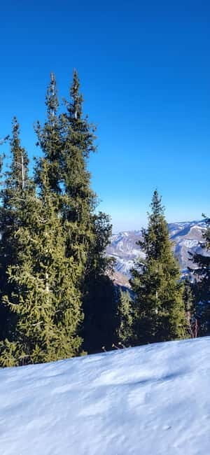 Almaty: Kok Zhailau Mountain and Batareika Waterfall Hike - Gear, Preparation, and Safety