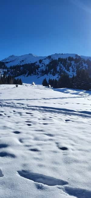 Almaty: Kok Zhailau Mountain and Batareika Waterfall Hike - Authentic Traveler Insights