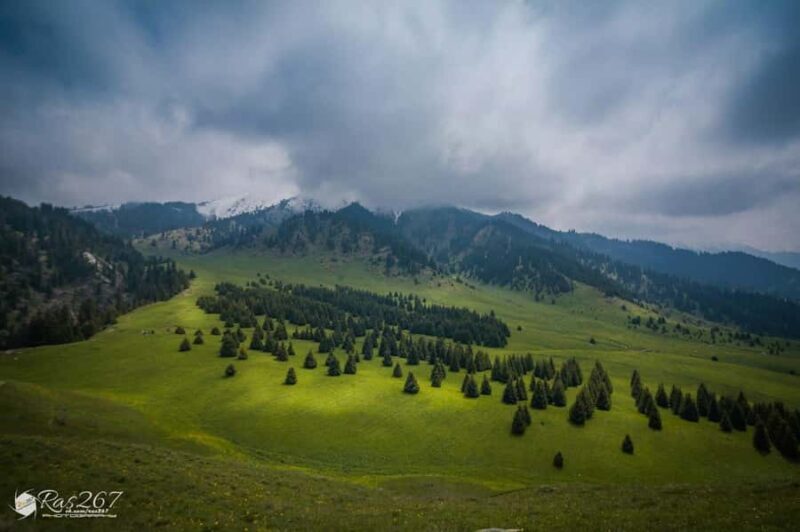 Almaty: Moderate hiking to Kok Zhailau - Frequently Asked Questions