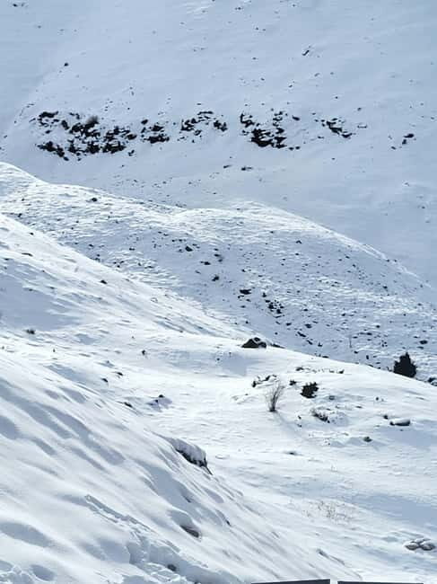 Almaty: Shymbulak, Medeu, Kok Tobe, Zenkov's Cathedral - Authentic Insights from Travelers