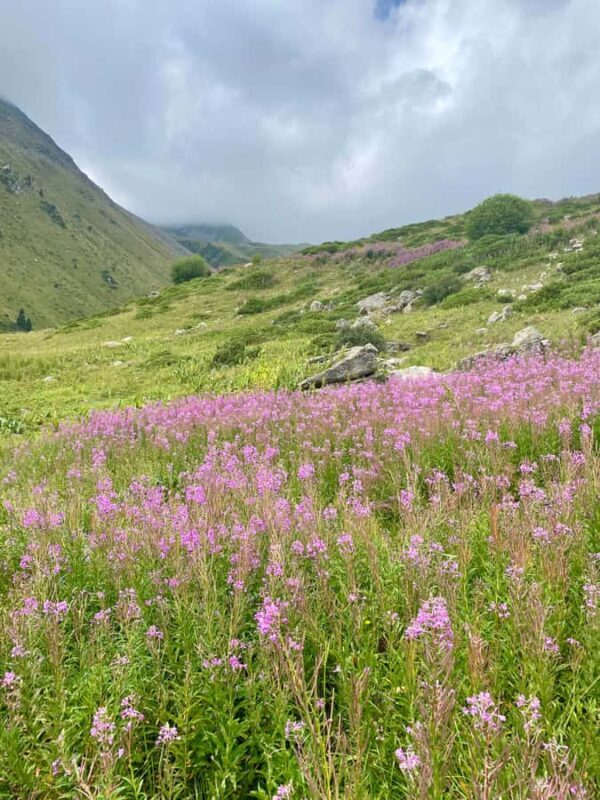 Almaty: Shymbulak Ski Resort and Medeu Skating Rink Tour - Who Will Love This Tour?