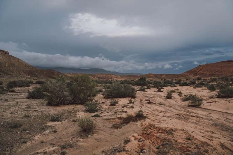 Almaty: Singing Dune 1-Day Private Adventure - Final Thoughts