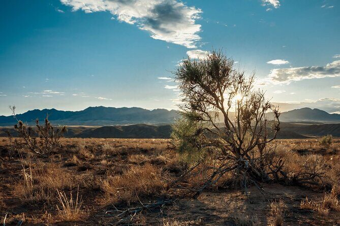 Almaty to Altyn-Emel National Park Private Tour - FAQ