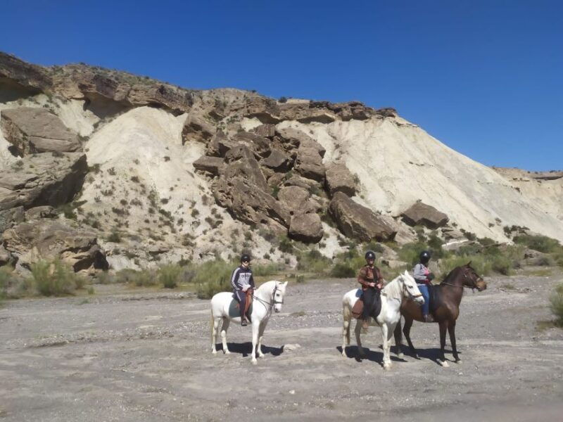 almeria-horse-riding-tour-through-the-tabernas-desert