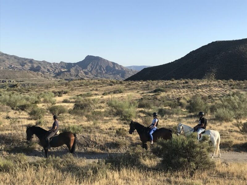 almeria-horse-riding-tour-through-the-tabernas-desert
