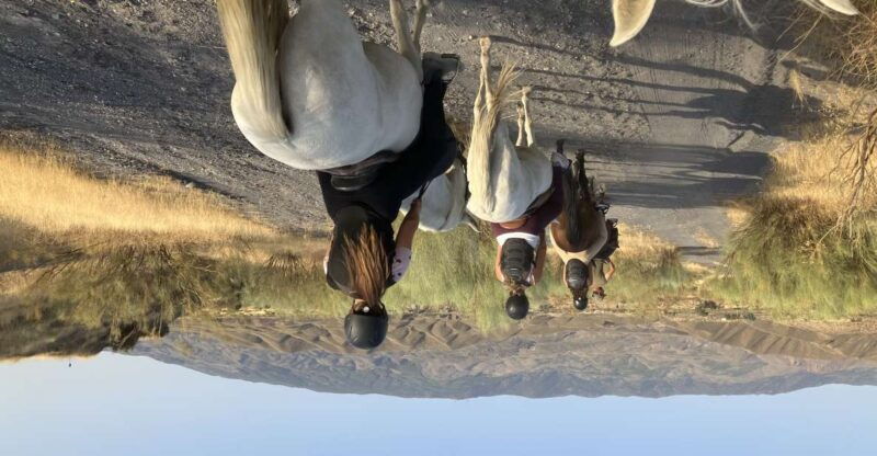 almeria-tabernas-desert-horse-riding-for-experienced-riders