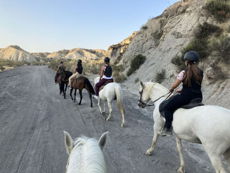 almeria-tabernas-desert-horse-riding-for-experienced-riders