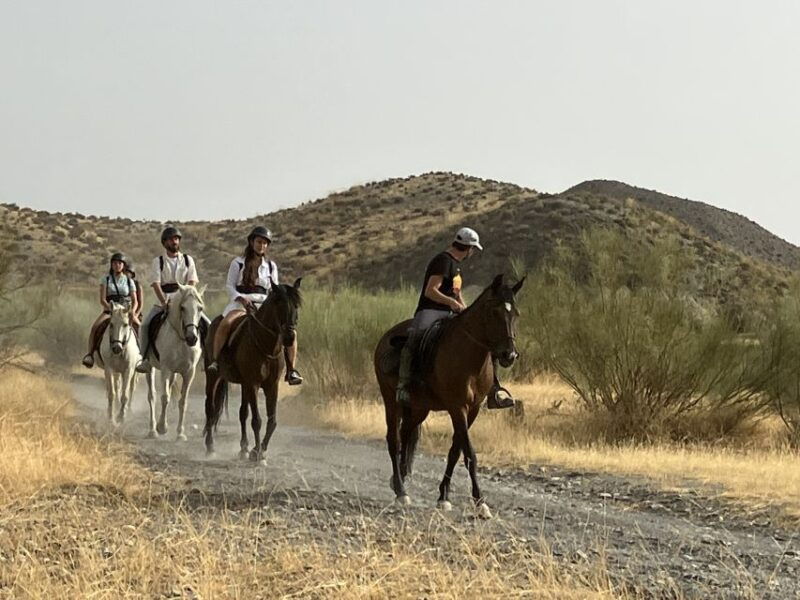 almeria-tabernas-desert-horse-riding-for-experienced-riders