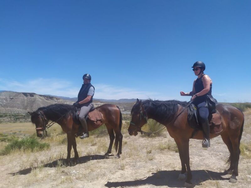 almeria-tabernas-desert-horse-riding-for-experienced-riders