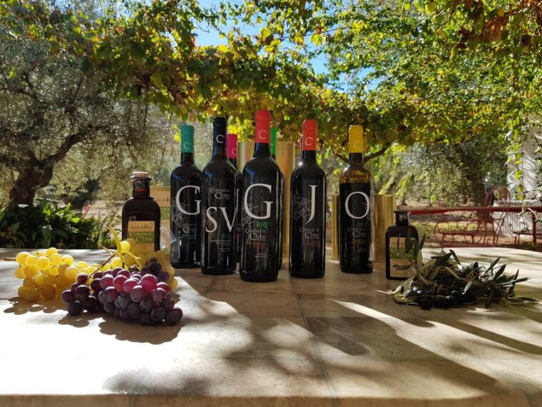 almeria-wine-tour-and-aperitif-from-la-alpujarra-in-laujar
