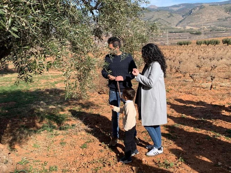 Almería: Wine tour and aperitif from La Alpujarra in Winery - The Itinerary Breakdown: What Makes This Tour Special
