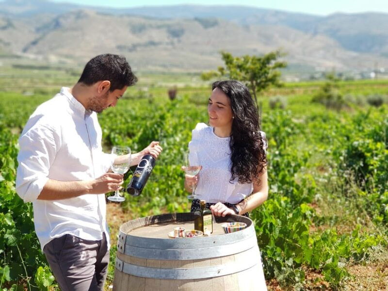 almeria-wine-tour-and-tasting-in-organic-winery