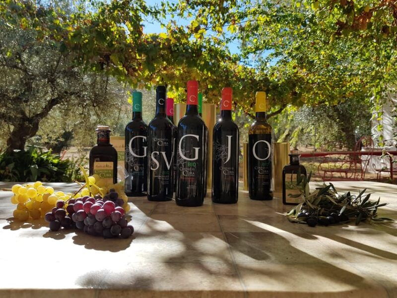 almeria-wine-tour-and-tasting-in-organic-winery