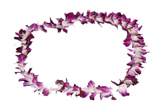 aloha-lei-greeting-on-arrival-in-honolulu