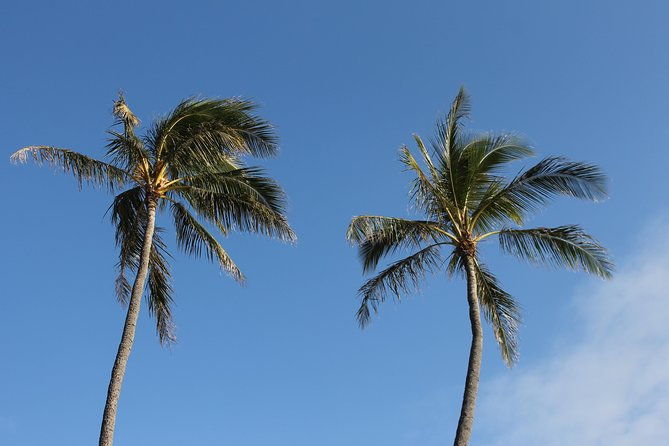 aloha-scooter-tours