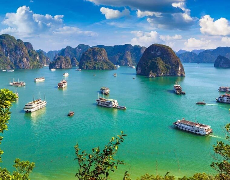alova-premium-cruise-deluxe-day-tour-from-ha-long-bay