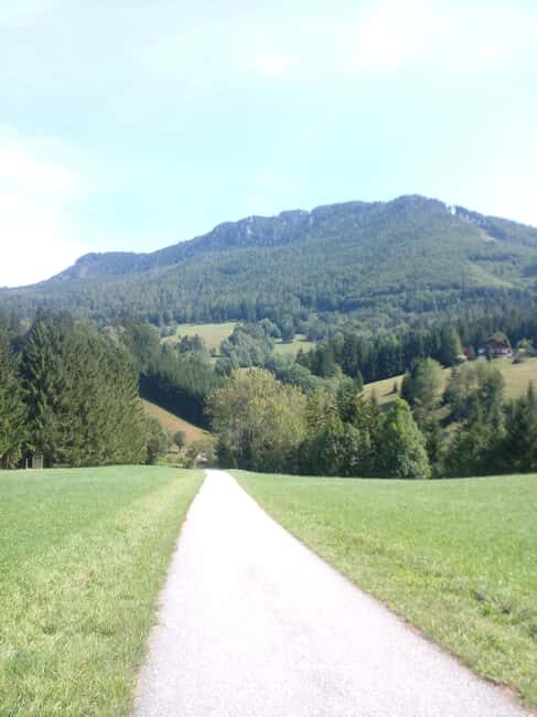 Alp Mountains Tour - Who Is This Tour Best Suited For?
