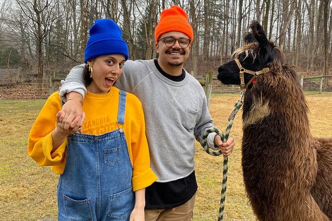 alpaca-and-llama-encounter-with-guided-walk