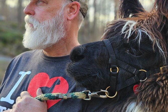 alpaca-and-llama-encounter-with-guided-walk