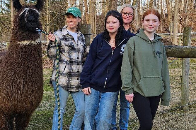 alpaca-and-llama-encounter-with-guided-walk