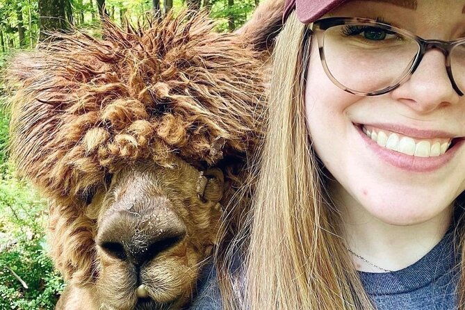 alpaca-and-llama-trek-in-pleasant-valley