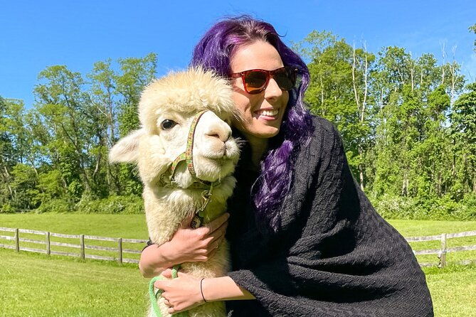 alpaca-and-llama-trek-in-pleasant-valley