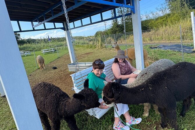 alpaca-farm-experience-on-the-road-to-hana