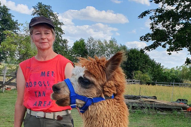 alpaca-hike-in-the-barnimer-feldmark
