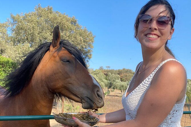 alpaca-meet-and-feed-in-grandola-2