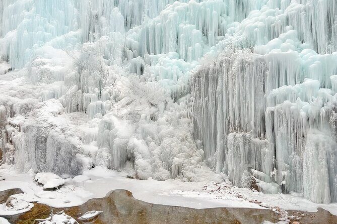 Alpaca, Nami, Eobi with Rail Bike or Strawberry - FAQ  