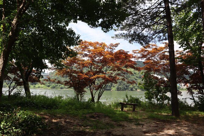 Alpaca, Nami, Petite Fr, Italian Village, Garden of Morning Calm - Exploring Seoul’s Surroundings: A Detailed Look at the Alpaca, Nami, Petite France, Italian Village & Garden of Morning Calm Tour