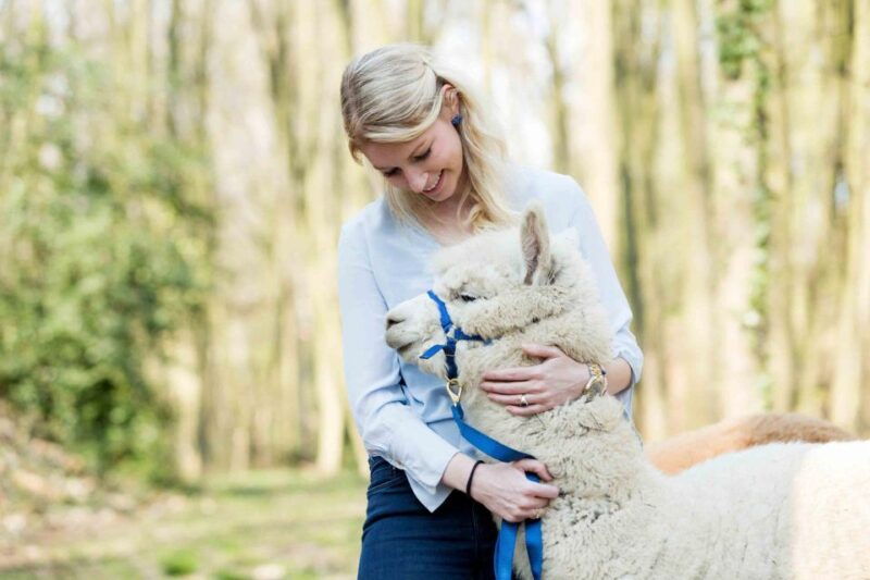 alpaca-therapy-and-artisanal-creativity