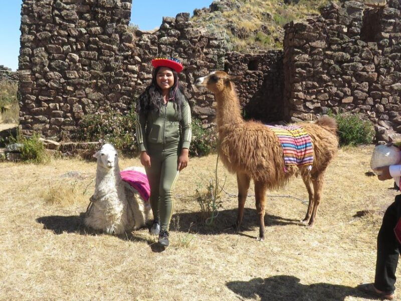 alpaca-therapy-and-artisanal-creativity