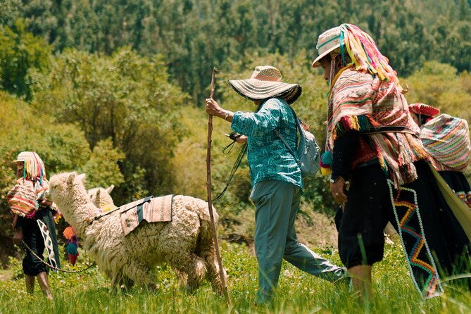 alpaca-walk-natural-dye-tour-a-memorable-full-day-experience