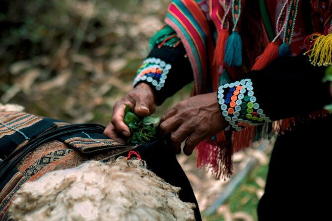 alpaca-walk-natural-dye-tour-a-memorable-full-day-experience