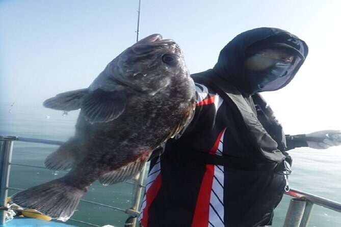 Alpaca World & Nami Island Private Tour - Practical Details and Tips