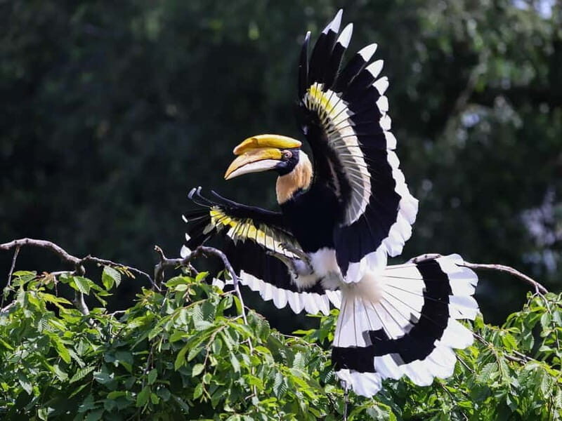 Alphen aan den Rijn: Avifauna Bird Park Entry Ticket - Discovering Avifauna Bird Park: What You Can Expect