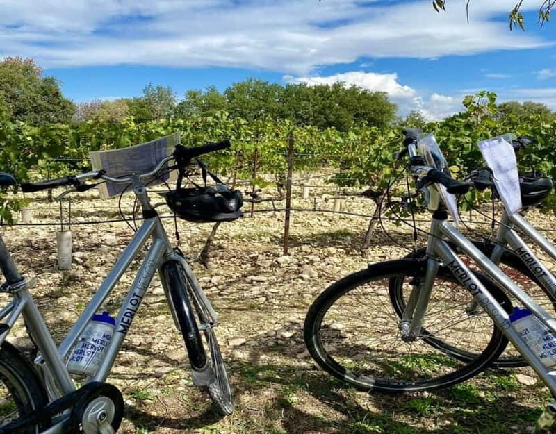 Alpilles: Discover vineyards and farms by electric bike - The Guides and Their Knowledge