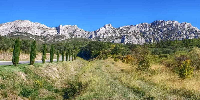 Alpilles: Discover wine estates and farms by electric bike - Final Thoughts