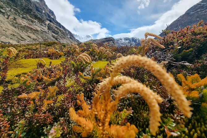 alpine-adventure-in-pollone-lagoon-and-lake-electric-valley